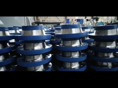 فلنج تیتانیومی